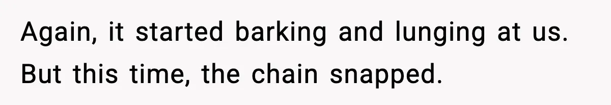 Again, it started barking and lunging at us. But this time, the chain snapped.