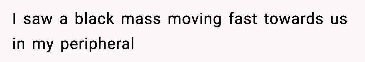 I saw a black mass moving fast towards us in my peripheral