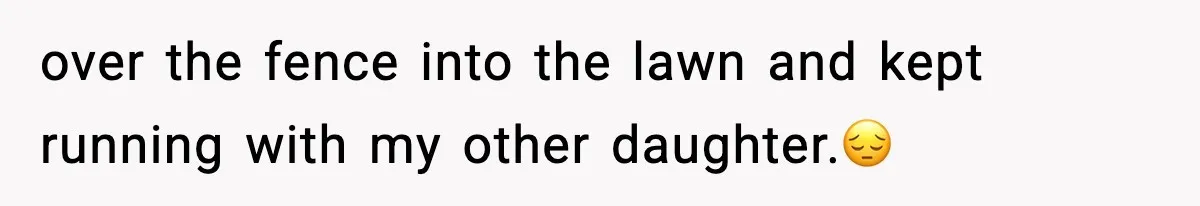 over the fence into the lawn and kept running with my other daughter.😔