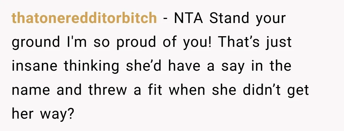 thatoneredditorbitch − NTA Stand your ground I'm so proud of you! That’s just insane thinking she’d have a say in the name and threw a fit when she didn’t get...