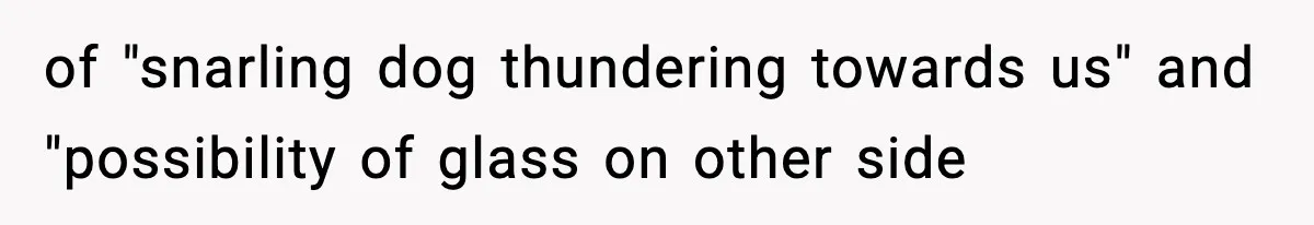 of "snarling dog thundering towards us" and "possibility of glass on other side