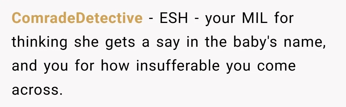 ComradeDetective − ESH - your MIL for thinking she gets a say in the baby's name, and you for how insufferable you come across.