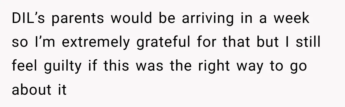 DIL’s parents would be arriving in a week so I’m extremely grateful for that but I still feel guilty if this was the right way to go about it