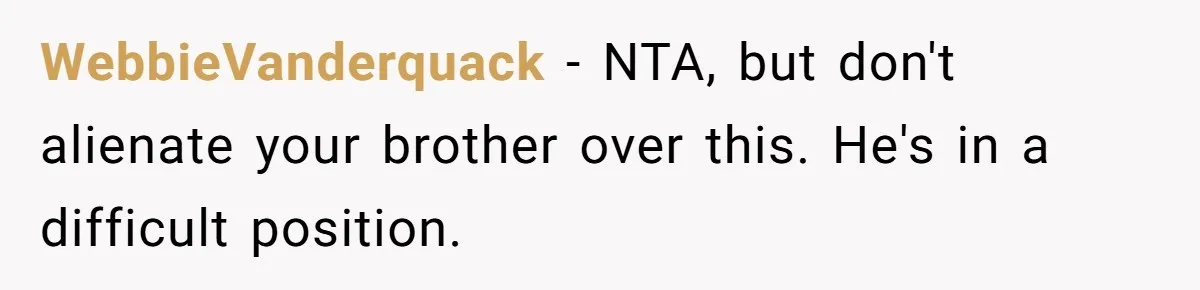 WebbieVanderquack − NTA, but don't alienate your brother over this. He's in a difficult position.