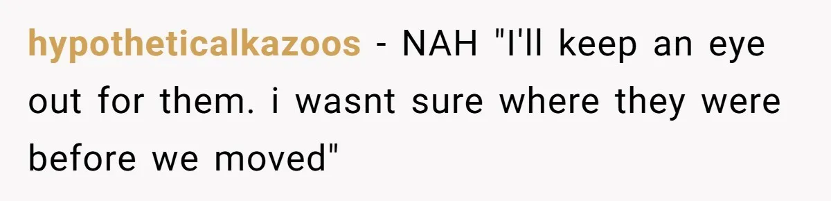 hypotheticalkazoos − NAH "I'll keep an eye out for them. i wasnt sure where they were before we moved"