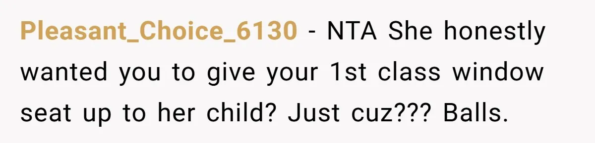 Pleasant_Choice_6130 − NTA She honestly wanted you to give your 1st class window seat up to her child? Just cuz??? Balls.