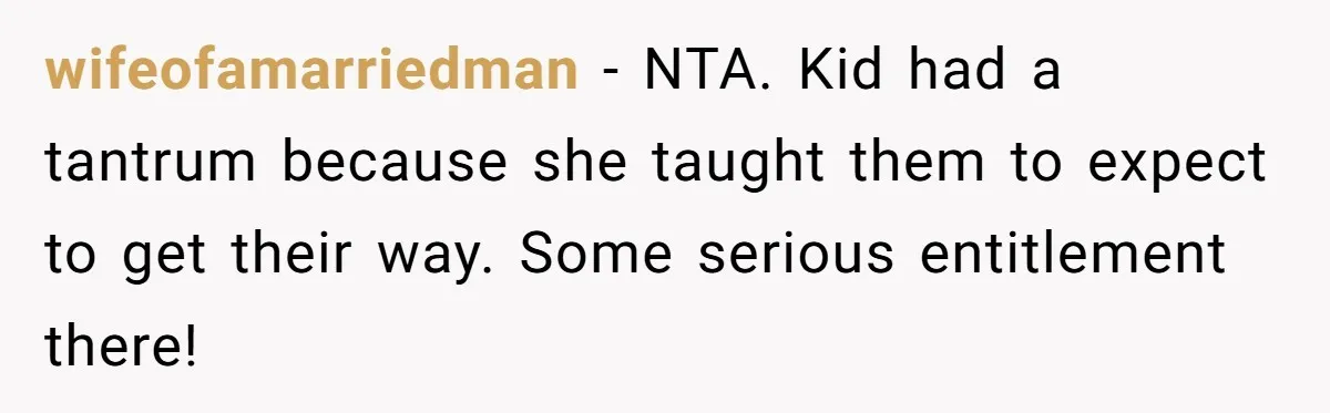 wifeofamarriedman − NTA. Kid had a tantrum because she taught them to expect to get their way. Some serious entitlement there!