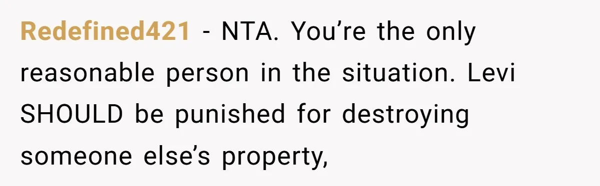 Redefined421 − NTA. You’re the only reasonable person in the situation. Levi SHOULD be punished for destroying someone else’s property,