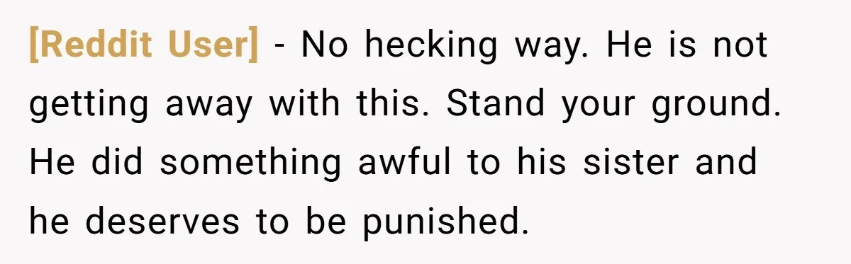 [Reddit User] − No hecking way. He is not getting away with this. Stand your ground. He did something awful to his sister and he deserves to be punished.
