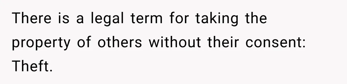 There is a legal term for taking the property of others without their consent: Theft.