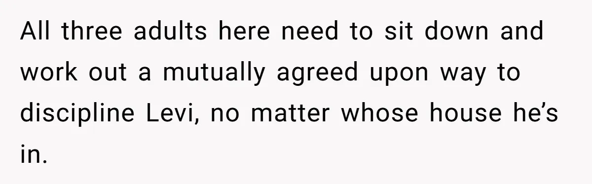 All three adults here need to sit down and work out a mutually agreed upon way to discipline Levi, no matter whose house he’s in.