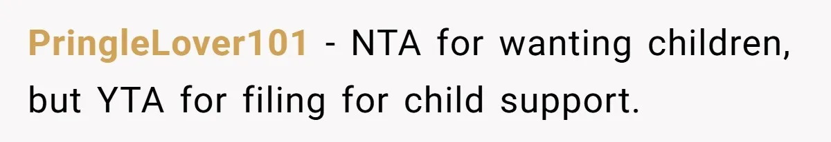 PringleLover101 − NTA for wanting children, but YTA for filing for child support.