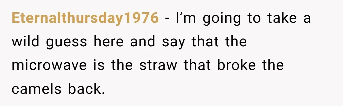 Eternalthursday1976 − I’m going to take a wild guess here and say that the microwave is the straw that broke the camels back.