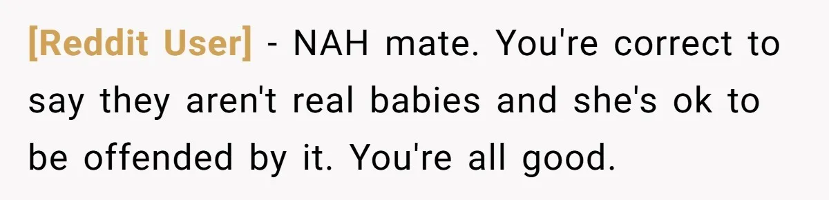 [Reddit User] − NAH mate. You're correct to say they aren't real babies and she's ok to be offended by it. You're all good.