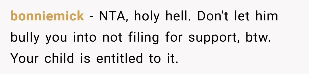 bonniemick − NTA, holy hell. Don't let him bully you into not filing for support, btw. Your child is entitled to it.