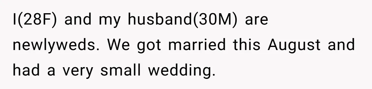 I(28F) and my husband(30M) are newlyweds. We got married this August and had a very small wedding.
