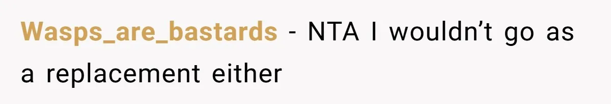 Wasps_are_bastards − NTA I wouldn’t go as a replacement either