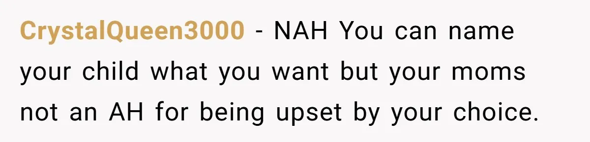 CrystalQueen3000 − NAH You can name your child what you want but your moms not an AH for being upset by your choice.
