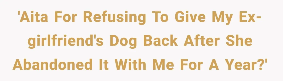 'AITA for refusing to give my ex-girlfriend's dog back after she abandoned it with me for a year?'