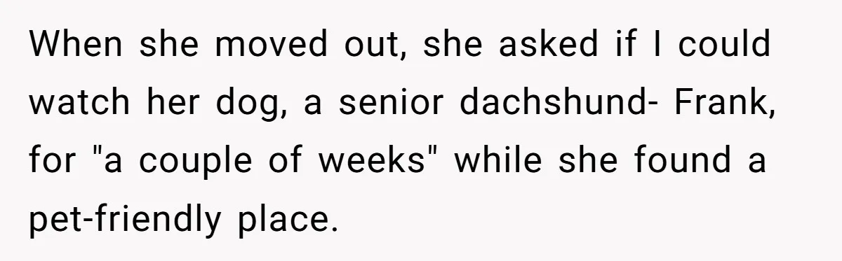 When she moved out, she asked if I could watch her dog, a senior dachshund- Frank, for "a couple of weeks" while she found a pet-friendly place.