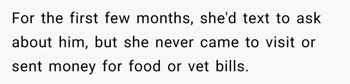 For the first few months, she'd text to ask about him, but she never came to visit or sent money for food or vet bills.