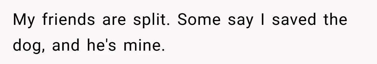 My friends are split. Some say I saved the dog, and he's mine.