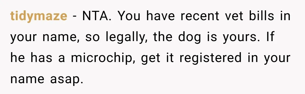 tidymaze − NTA. You have recent vet bills in your name, so legally, the dog is yours. If he has a microchip, get it registered in your name asap.
