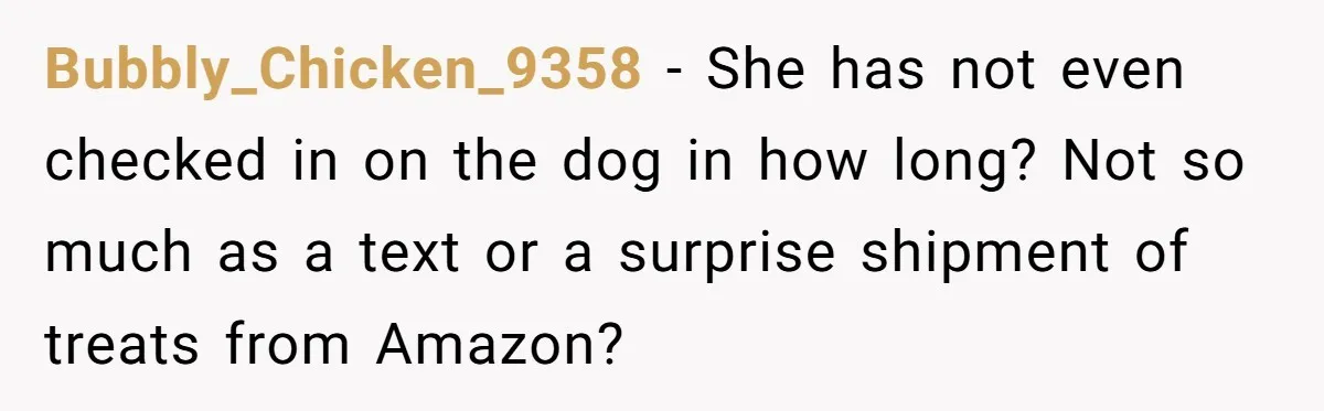 Bubbly_Chicken_9358 − She has not even checked in on the dog in how long? Not so much as a text or a surprise shipment of treats from Amazon?