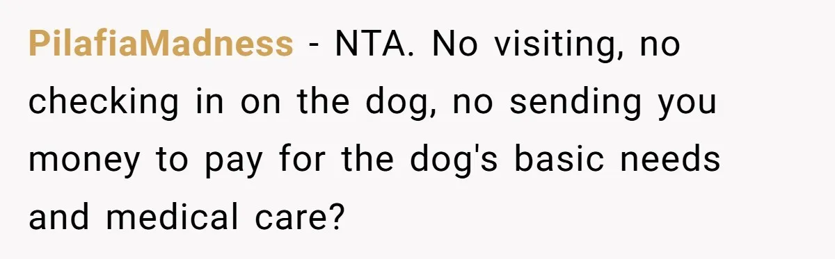 PilafiaMadness − NTA. No visiting, no checking in on the dog, no sending you money to pay for the dog's basic needs and medical care?