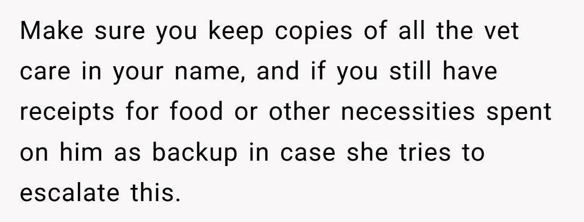Make sure you keep copies of all the vet care in your name, and if you still have receipts for food or other necessities spent on him as backup in...