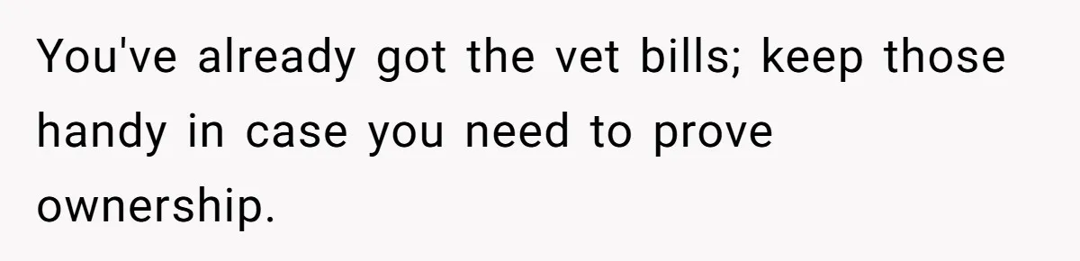 You've already got the vet bills; keep those handy in case you need to prove ownership.