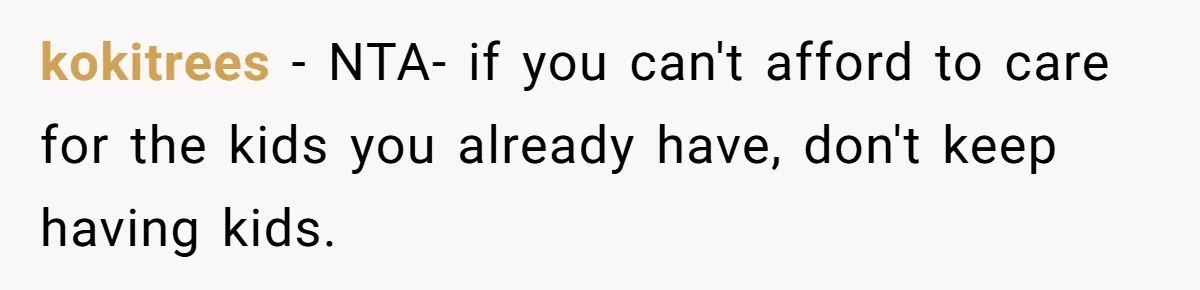 kokitrees − NTA- if you can't afford to care for the kids you already have, don't keep having kids.