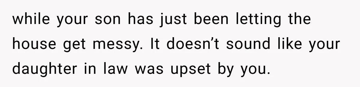 while your son has just been letting the house get messy. It doesn’t sound like your daughter in law was upset by you.