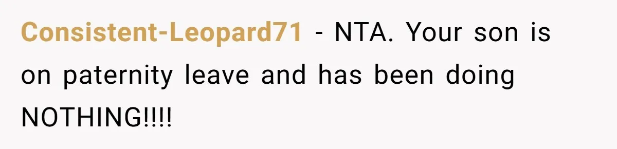 Consistent-Leopard71 − NTA. Your son is on paternity leave and has been doing NOTHING!!!!