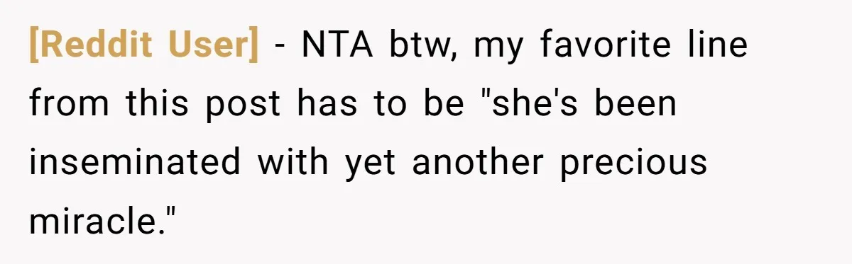 [Reddit User] − NTA btw, my favorite line from this post has to be "she's been inseminated with yet another precious miracle."