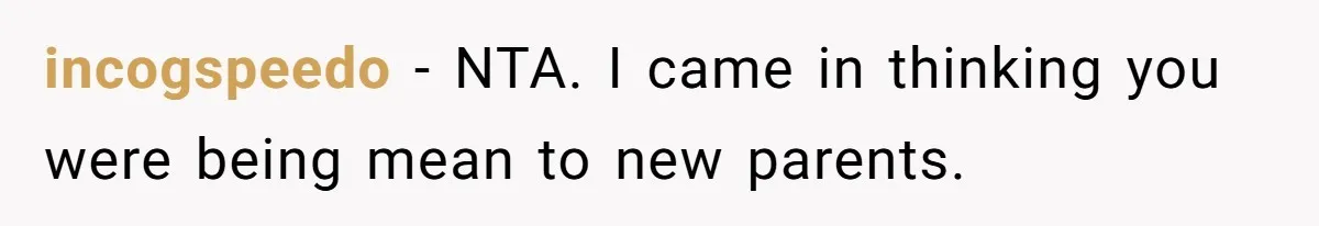 incogspeedo − NTA. I came in thinking you were being mean to new parents.