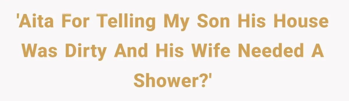 'AITA for telling my son his house was dirty and his wife needed a shower?'