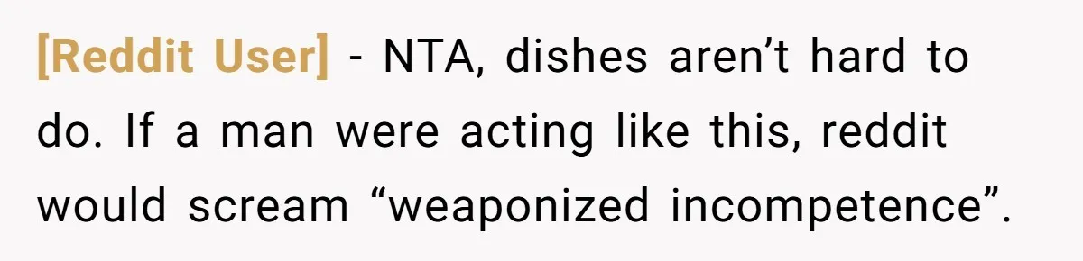 [Reddit User] − NTA, dishes aren’t hard to do. If a man were acting like this, reddit would scream “weaponized incompetence”.