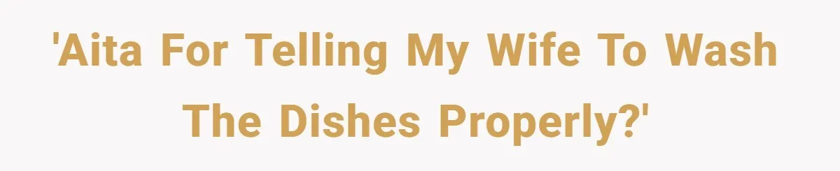 'AITA for telling my wife to wash the dishes properly?'