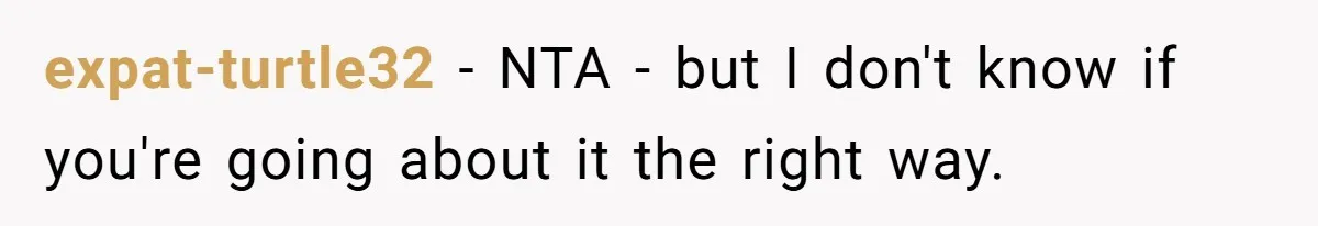 expat-turtle32 − NTA - but I don't know if you're going about it the right way.