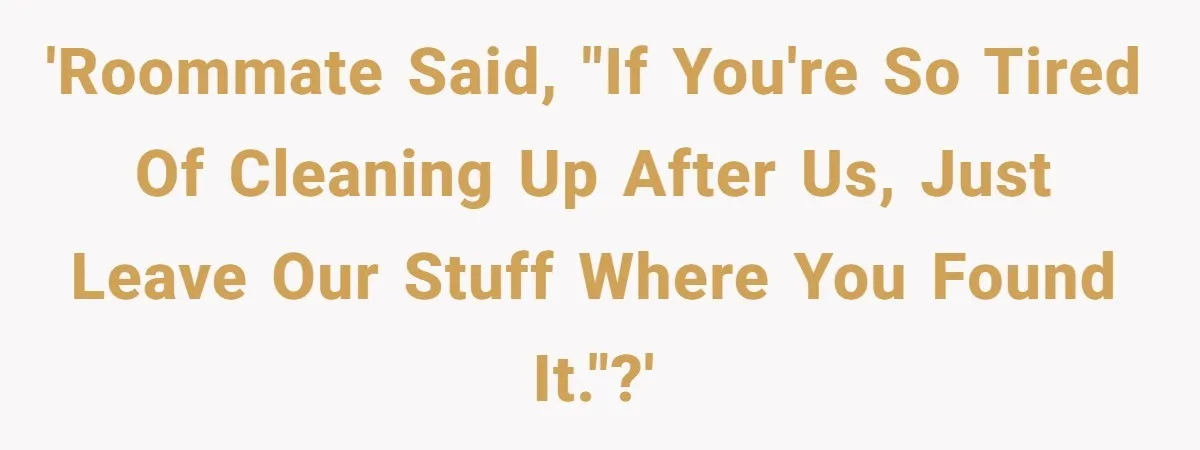 'Roommate said, "If you're so tired of cleaning up after us, just leave our stuff where you found it."?'