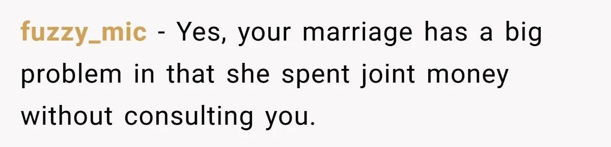 fuzzy_mic − Yes, your marriage has a big problem in that she spent joint money without consulting you.