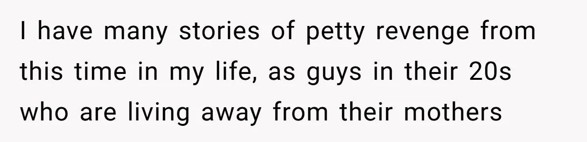 I have many stories of petty revenge from this time in my life, as guys in their 20s who are living away from their mothers