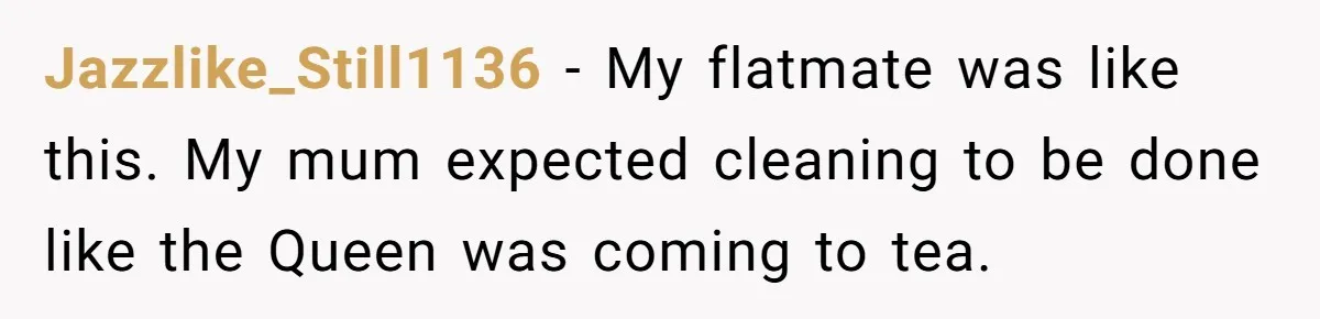 Jazzlike_Still1136 − My flatmate was like this. My mum expected cleaning to be done like the Queen was coming to tea.