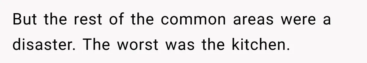 But the rest of the common areas were a disaster. The worst was the kitchen.
