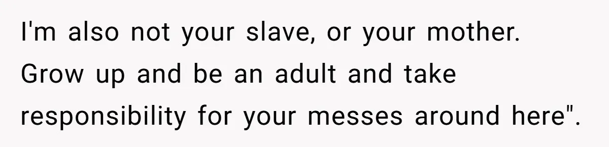 I'm also not your slave, or your mother. Grow up and be an adult and take responsibility for your messes around here".