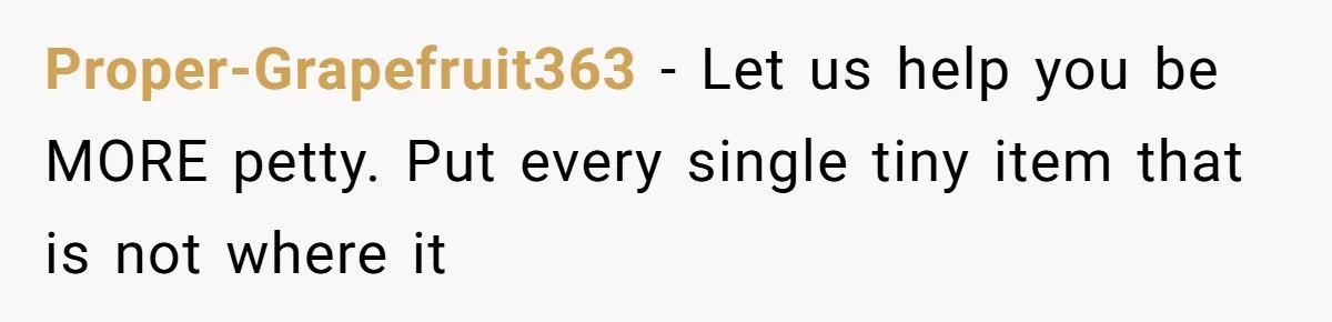 Proper-Grapefruit363 − Let us help you be MORE petty. Put every single tiny item that is not where it