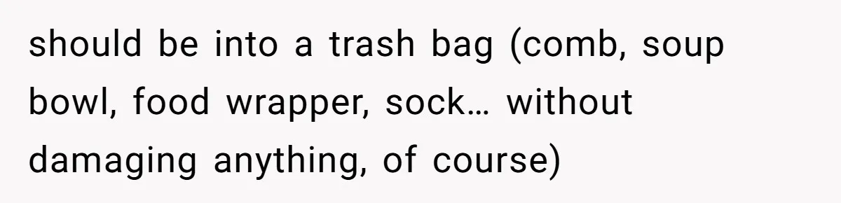 should be into a trash bag (comb, soup bowl, food wrapper, sock… without damaging anything, of course)