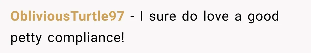 ObliviousTurtle97 − I sure do love a good petty compliance!