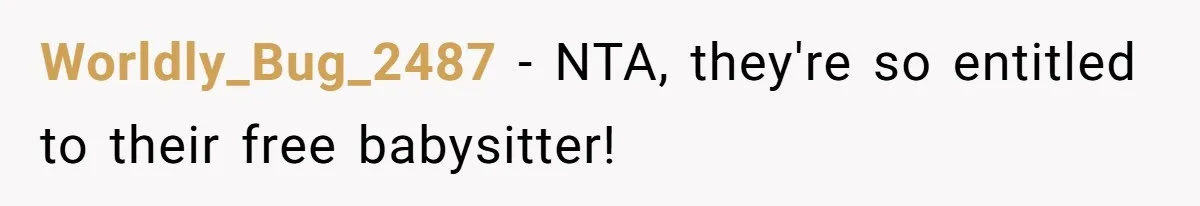 Worldly_Bug_2487 − NTA, they're so entitled to their free babysitter!